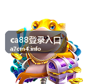 ca88登录入口浏览器安全设置参考手册